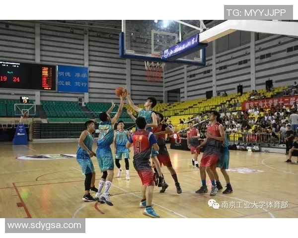 南京篮球队创历史新高展现卓越耐力实力引领全国篮球赛新风潮