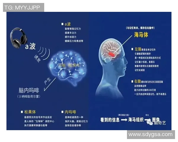 南京足球队防反战术解析：深度剖析其成功背后的秘密与策略