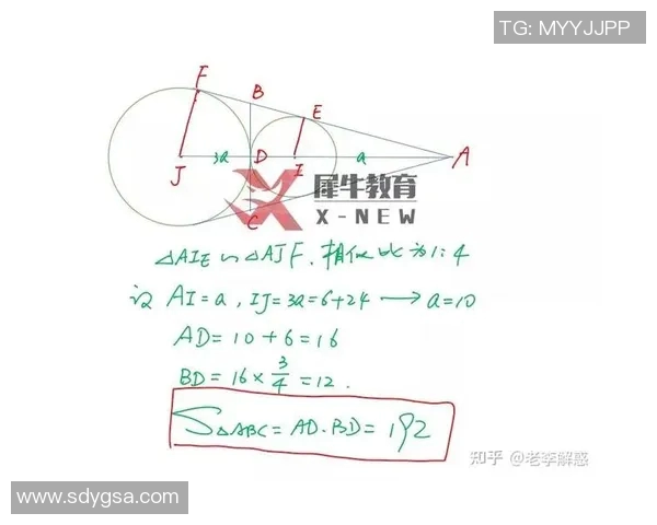 独家解析：西安排球队耐力对比与战术运用的深度分析