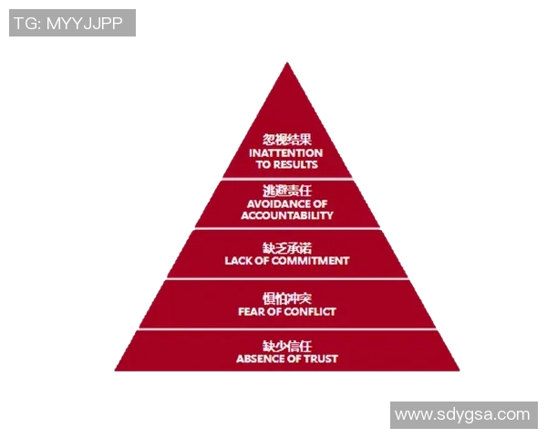 深圳排球队灵活性分析:战术创新与团队协作的完美结合 深圳排球队灵活性分析:战术创新与团队协作的完美结合