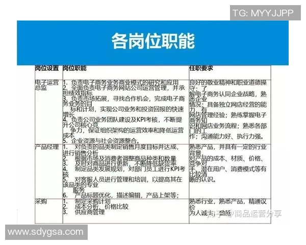 深圳排球队的战术创新与运营体系探讨