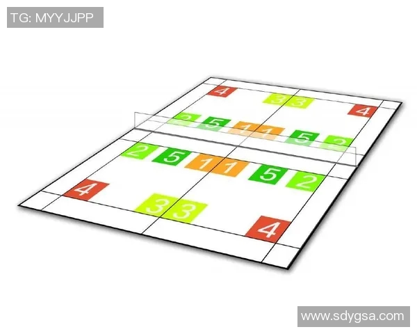 深圳羽毛球队反击战术全面解析与实战应用探讨 深圳羽毛球队反击战术全面解析与实战应用探讨