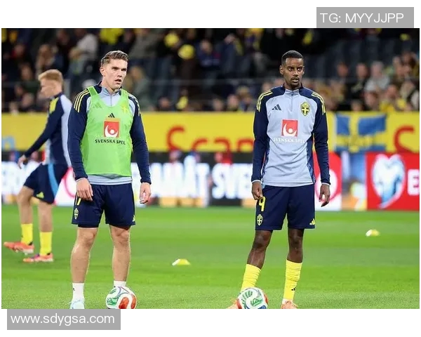 瑞典足球明星排名前十的传奇球员与他们的辉煌成就分析