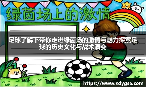 足球了解下带你走进绿茵场的激情与魅力探索足球的历史文化与战术演变