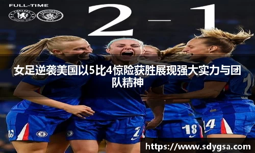 IM电竞电子竞技